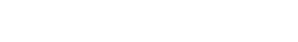 入力内容の確認